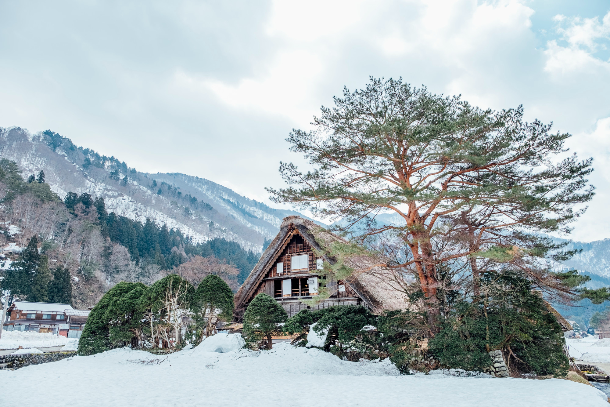 Best Places to Go in December
