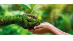 ISO 14001 certification in Abu Dhabi