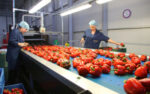 HACCP certification in Abu Dhabi