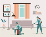 Best Pest Control Services in Kolkata at Low Cost