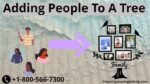 Adding People to a Tree | Ancestry Support