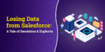 Losing Data from Salesforce: A Tale of Desolation & Euphoria