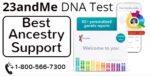 Tips to Get Best From 23andMe DNA Test – Ancestry Support