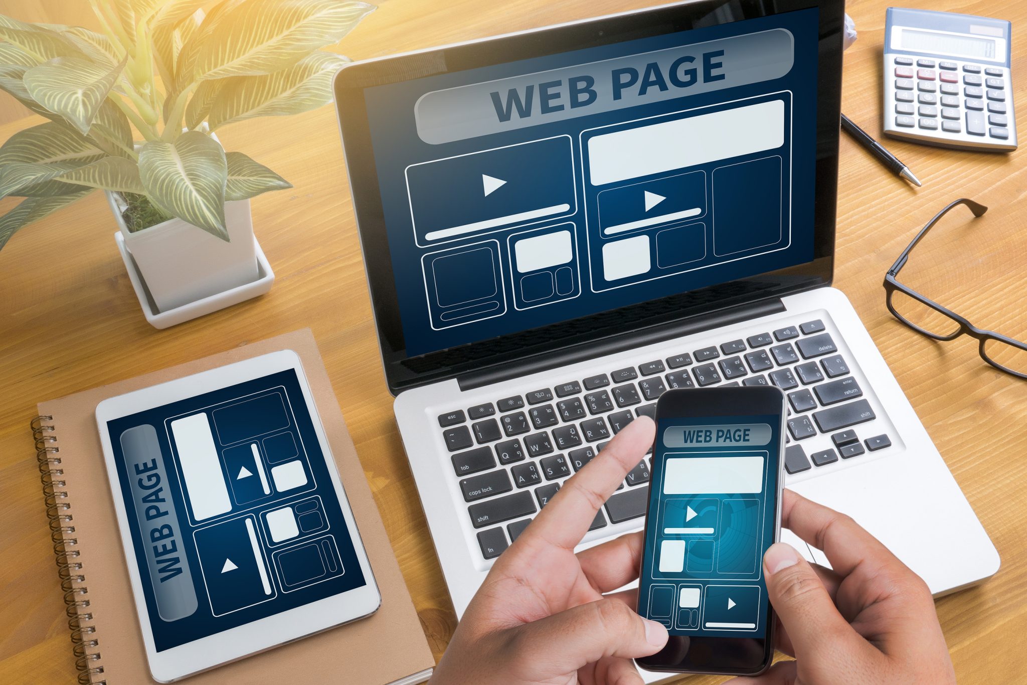Why is it important to hire a professional web developer in Florida?