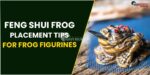 Feng Shui Frog: Move toward Tips For Frog Manikins In The Home