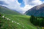 Beautiful weekend trek in himachal – Quaxnex News