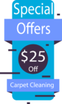 TX Spring Carpet Cleaning