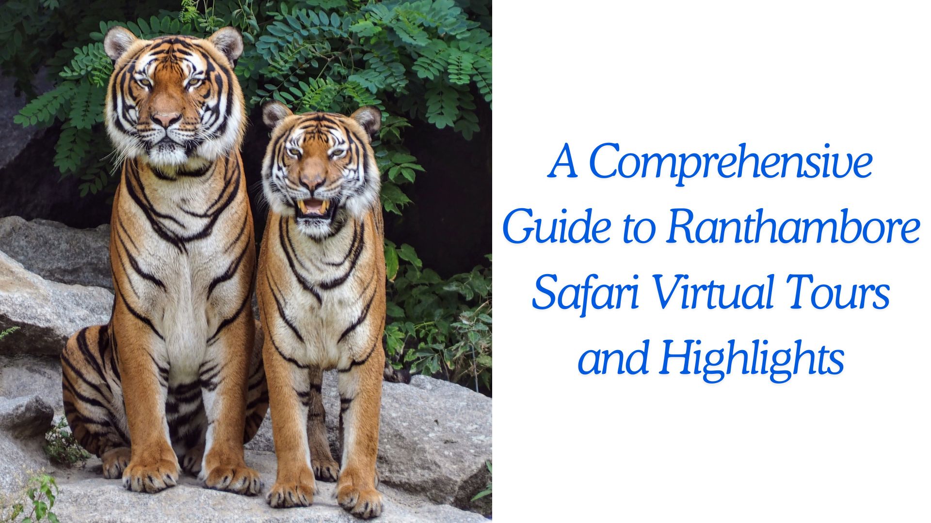 A Comprehensive Guide to Ranthambore Safari Virtual Tours and Highlights