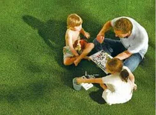 Artificial Turf