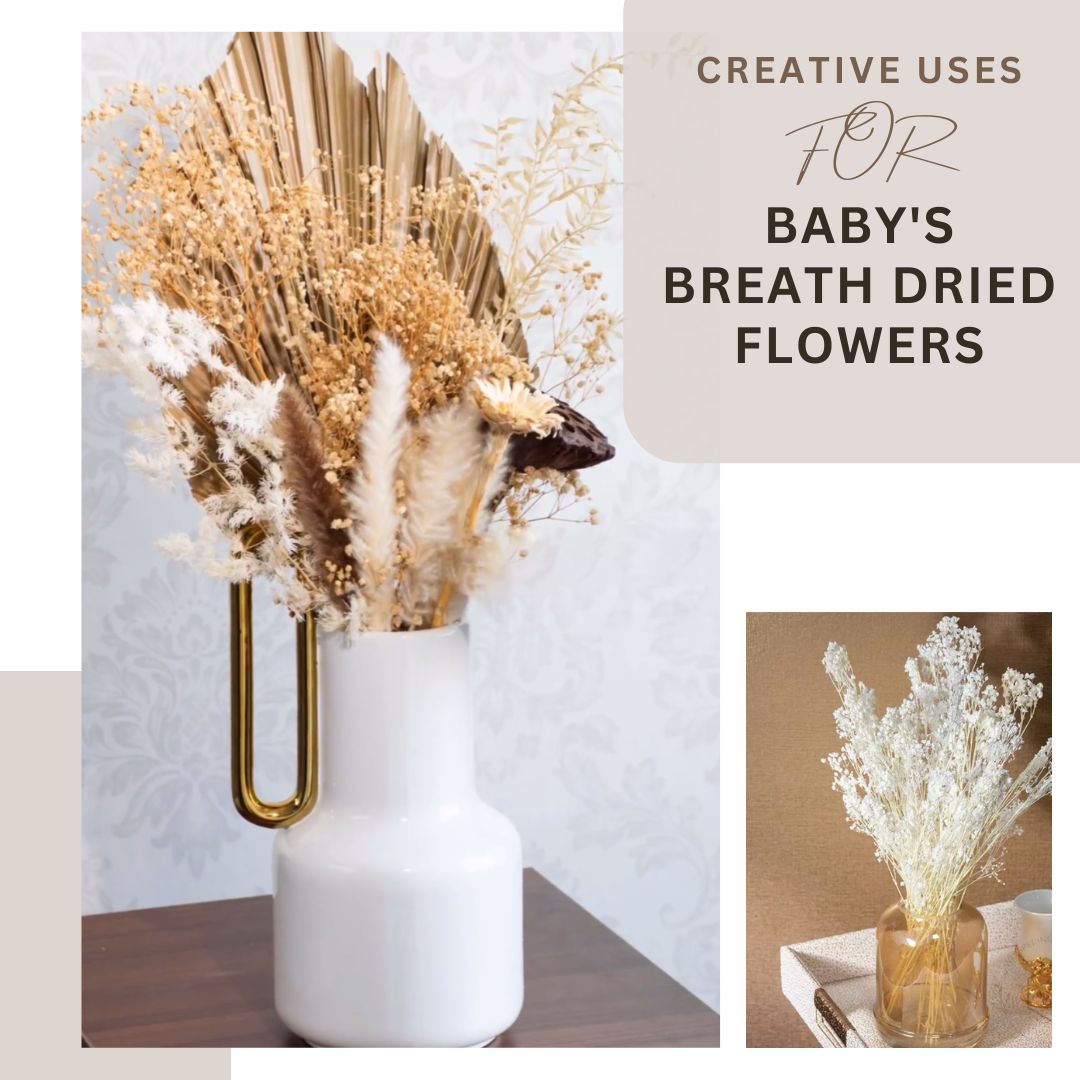 Baby's Breath Dried Flowers Decor