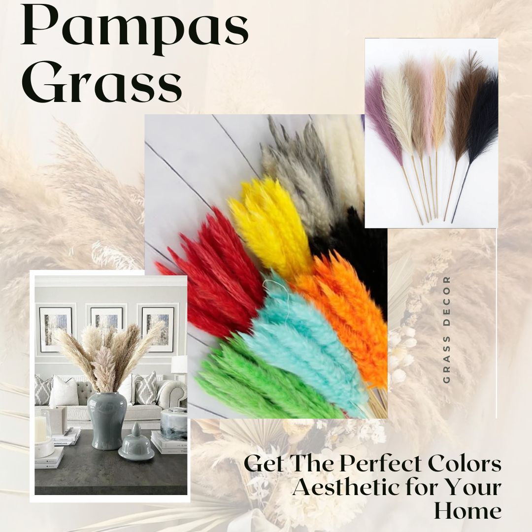 Colorful dry grass decor