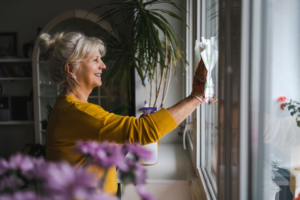 Window Cleaning Brampton