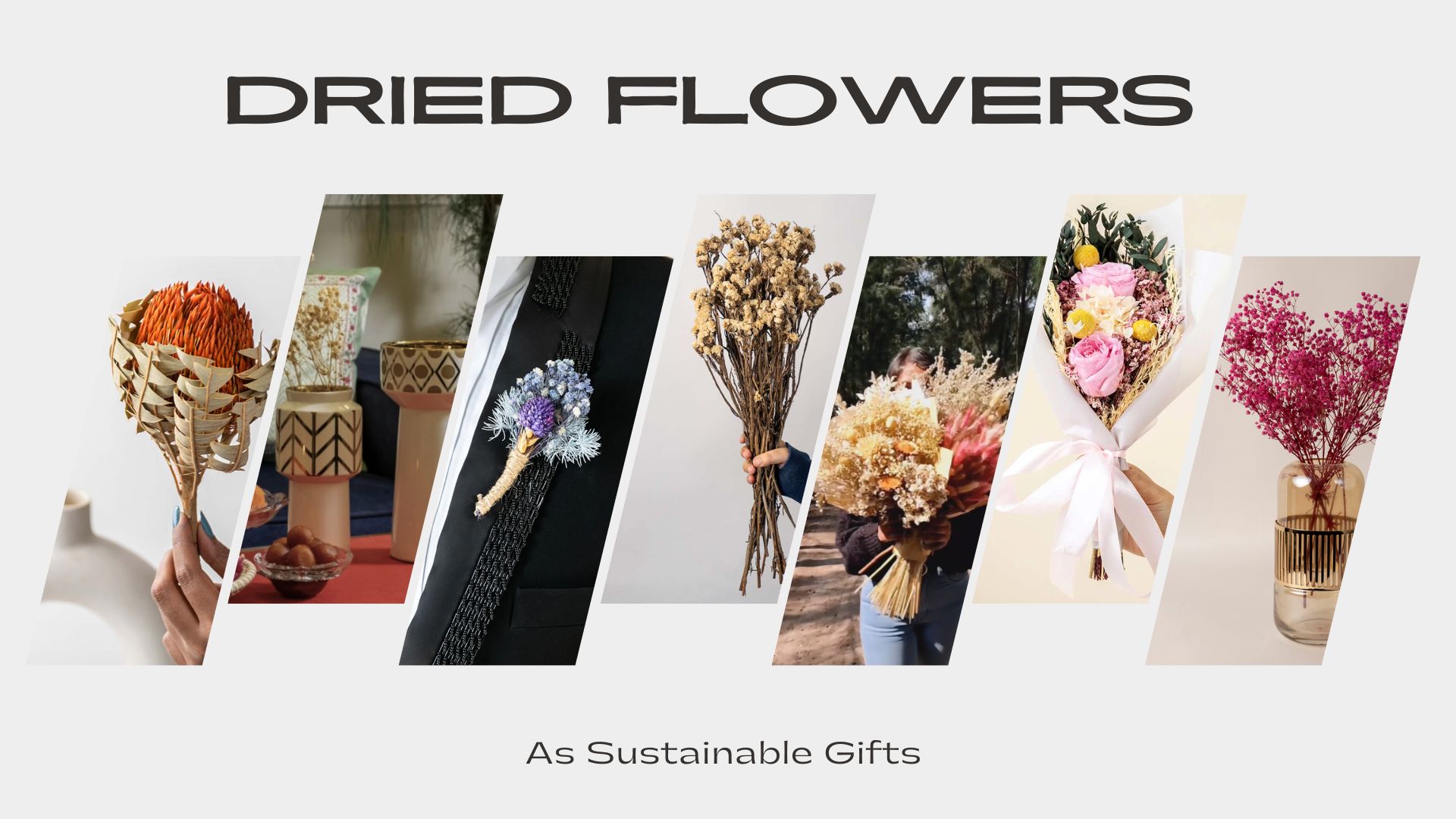 Dried Flowers for Gift