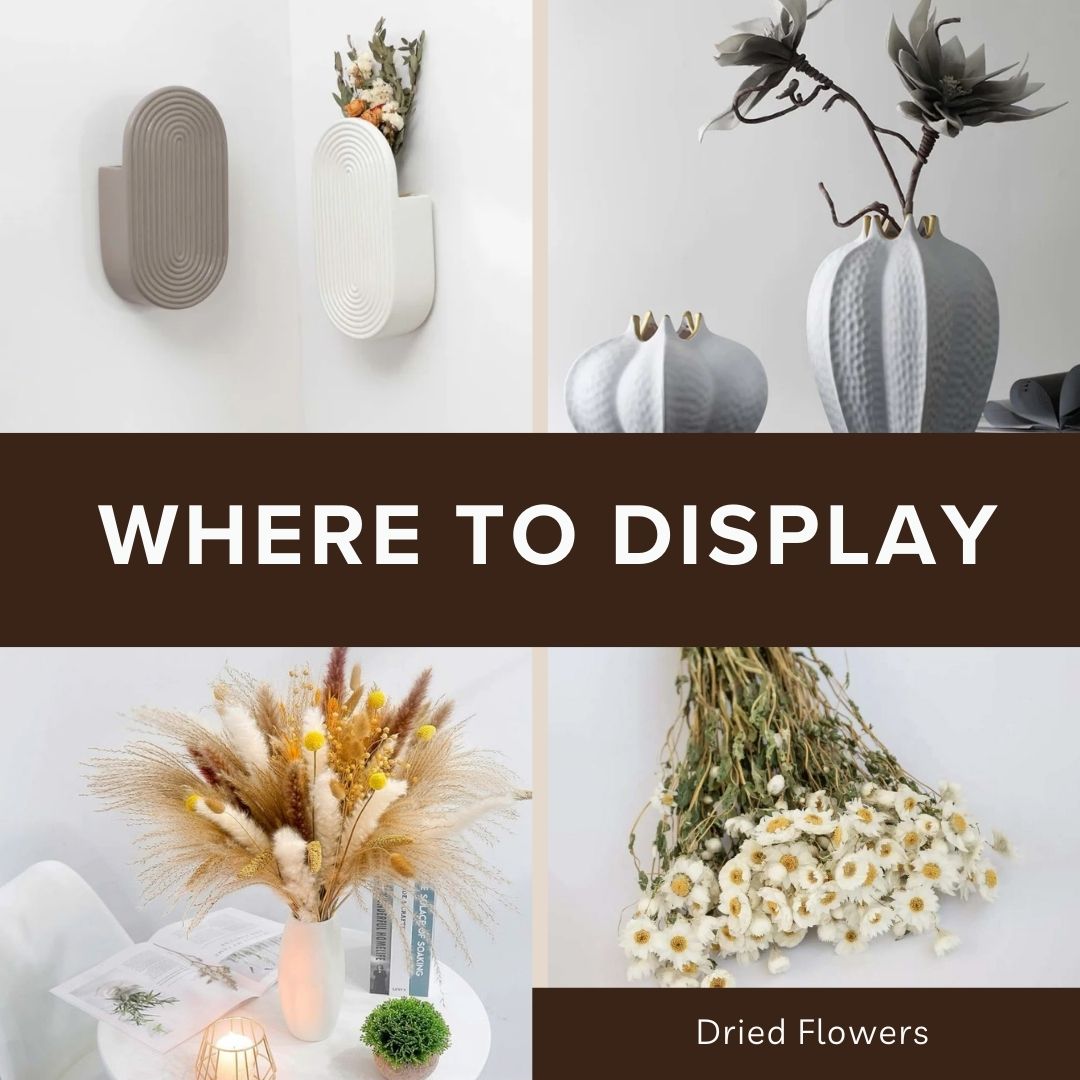 Dried Flowers to Display