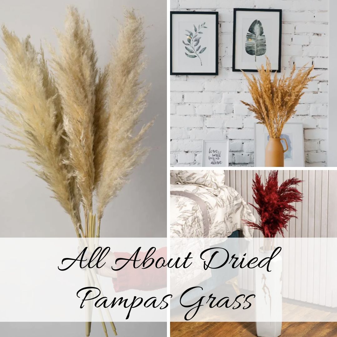 Dried Pampas Grass Decor