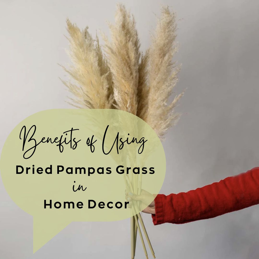 Dried Pampas Grass Home Decor