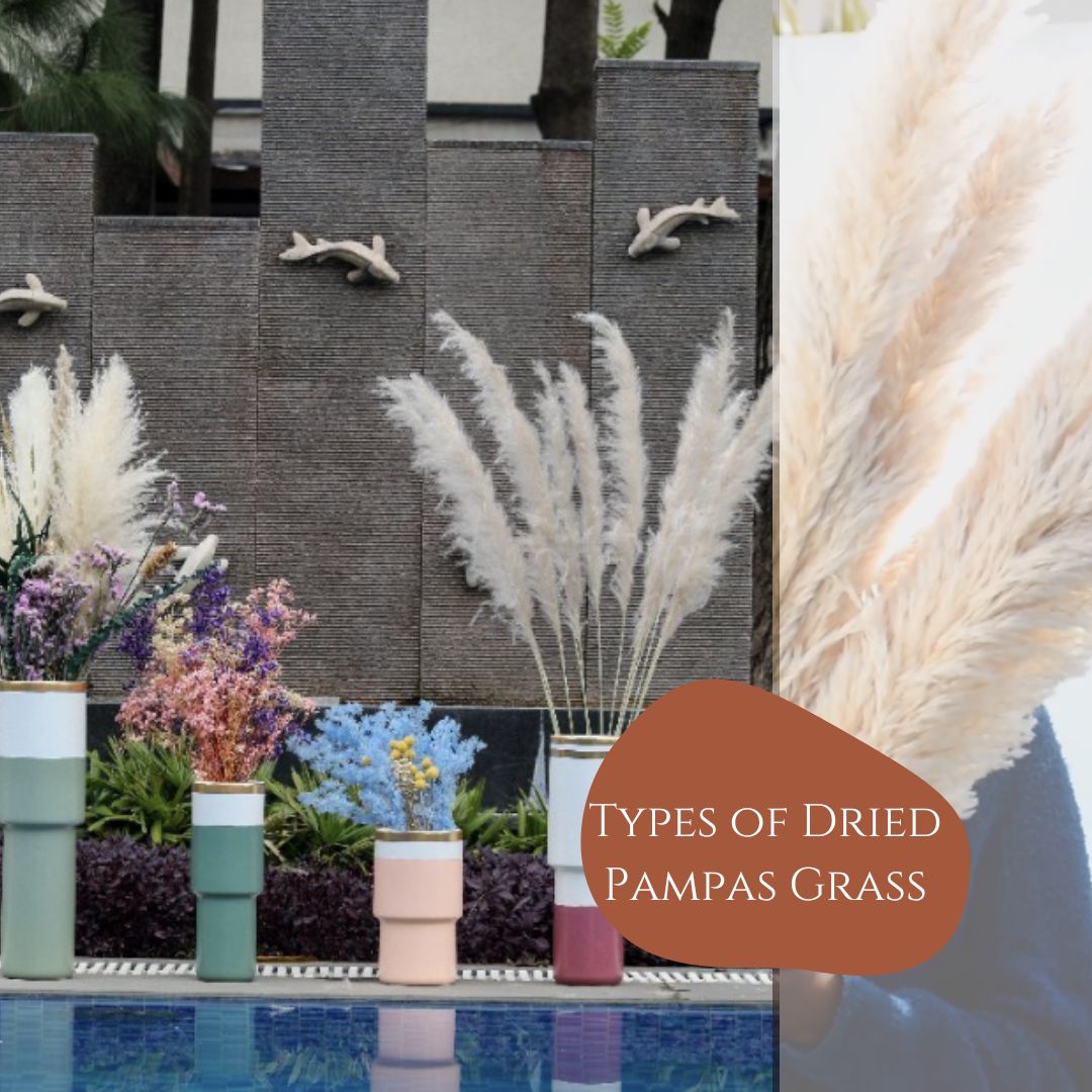 Dry Pampas Grass Home Decor