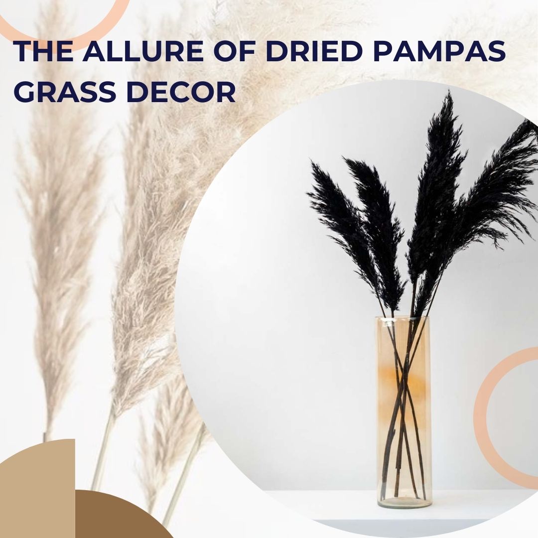 Dry pampas grass for vases