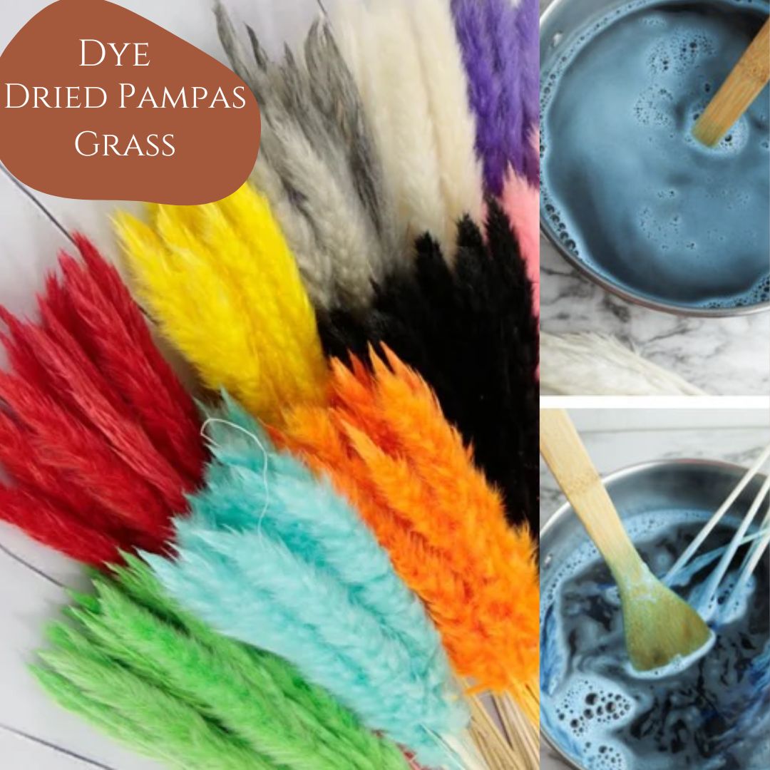 Dye Pampas Grass