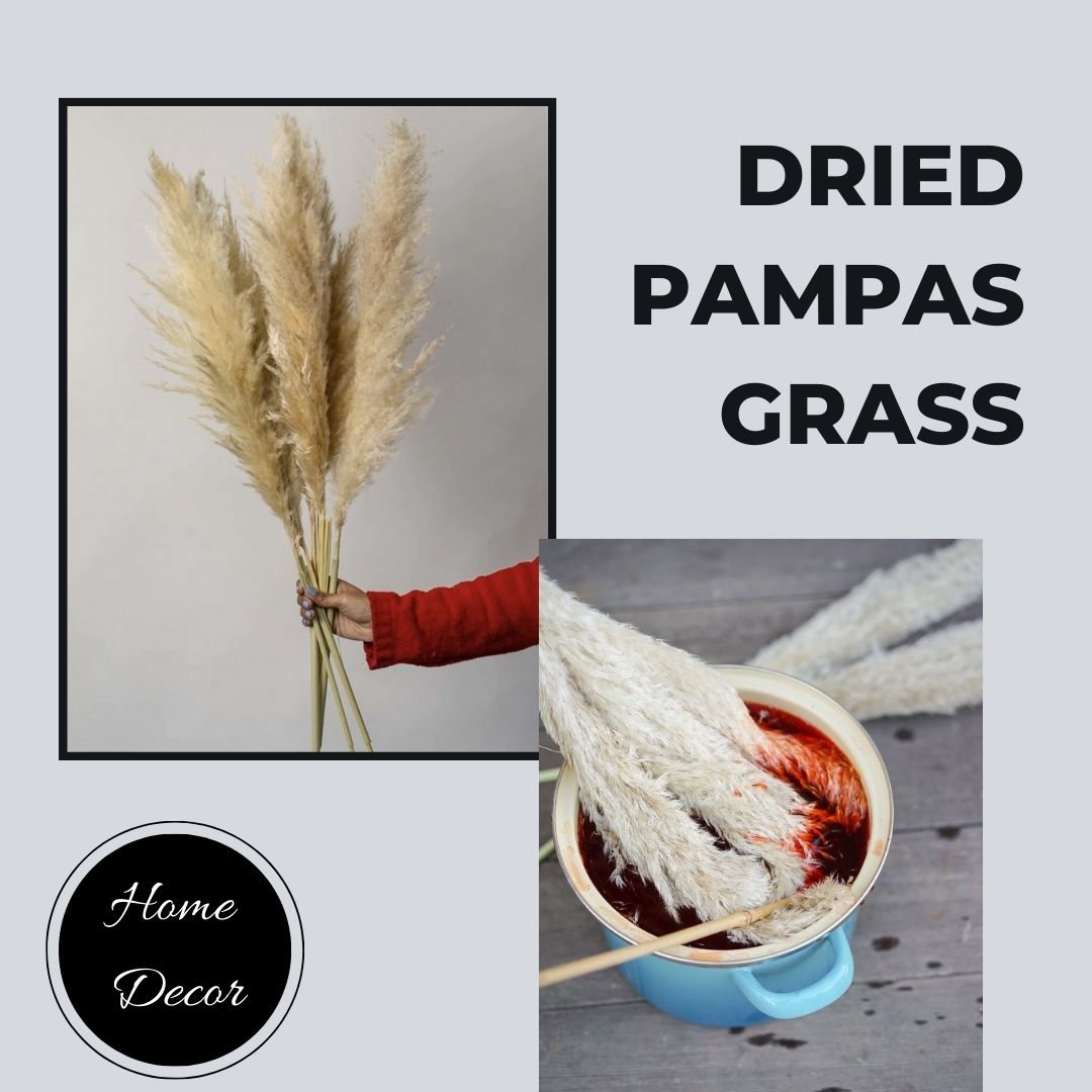 Dye fluffy Pampas Grass