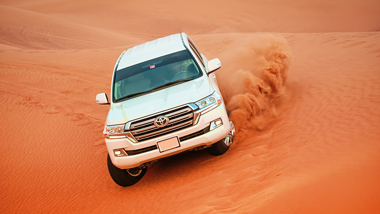 Morning Desert Safari