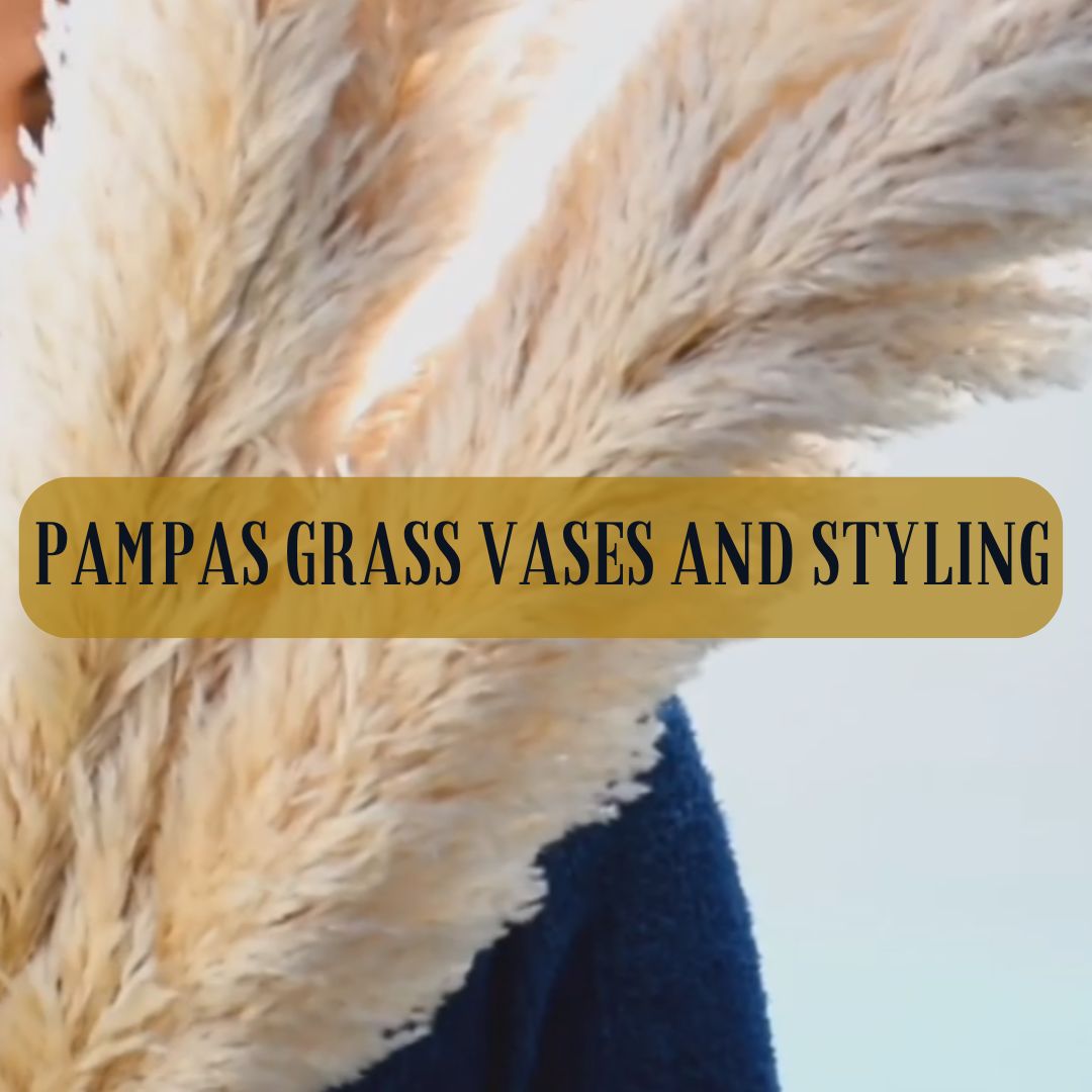 Fluffy Dry pampas grass vases