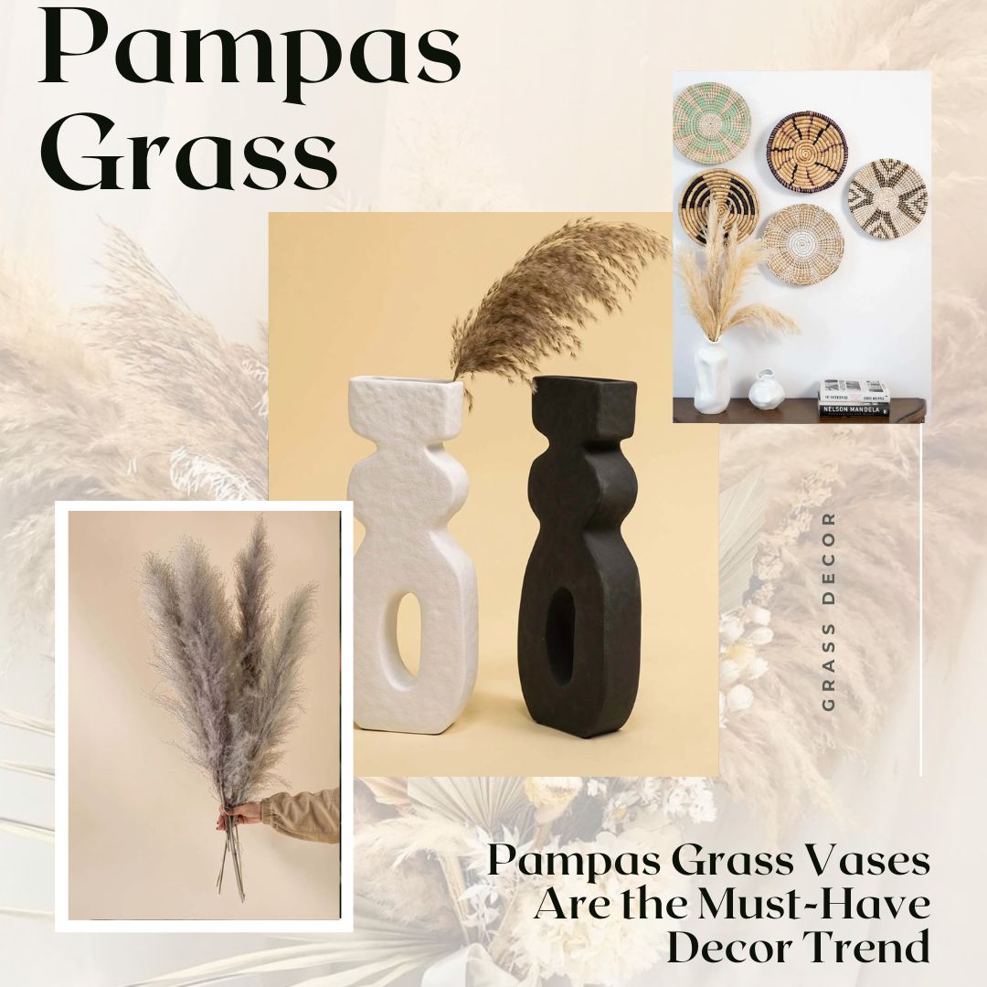 Fluffy dry pampas grass for vases