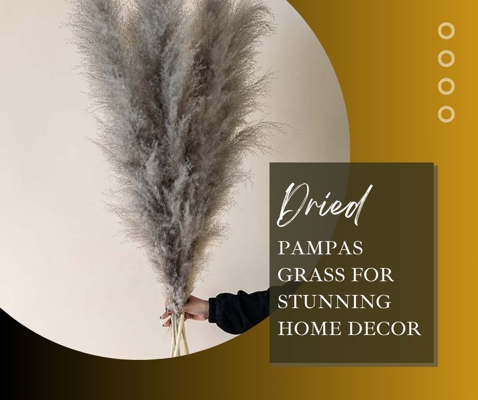 Fluffy grey Pampas Grass