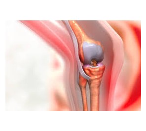 knee pain treatment specialists
