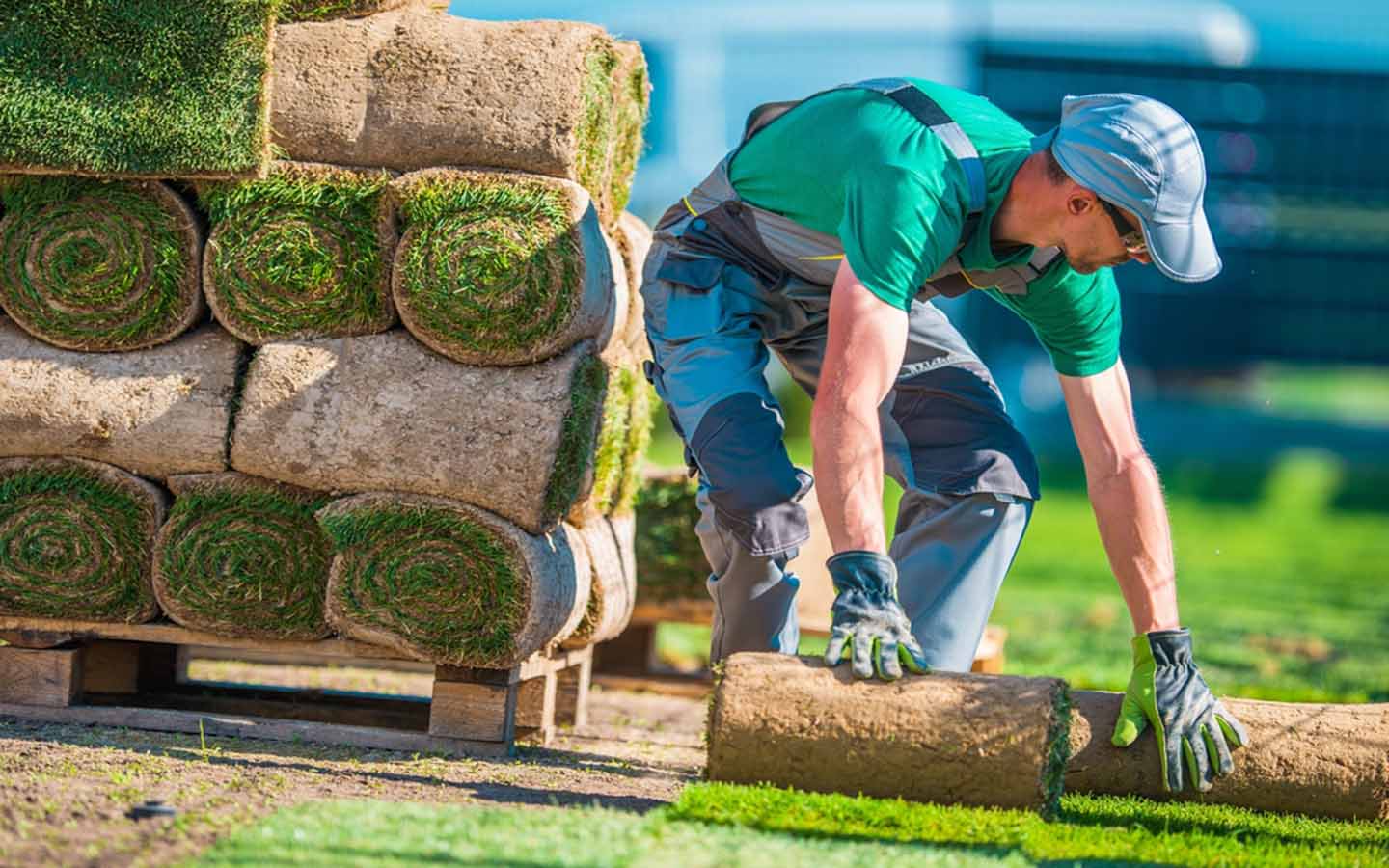 All Seasons Lawn Services