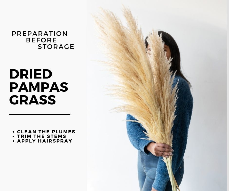 Natural Dried Pampas Grass Decor