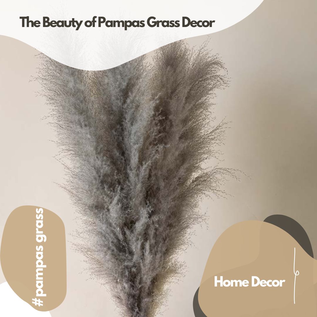 Natural pampas grass for decoration