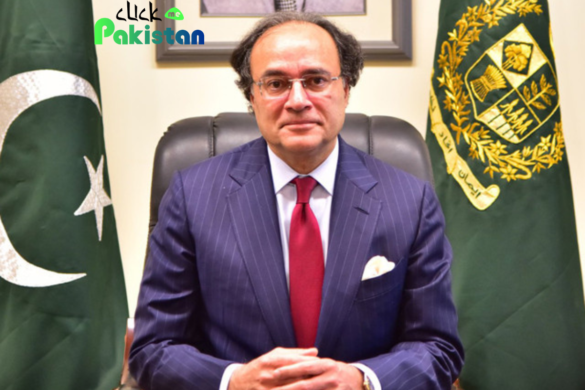Pakistan Finance Minister