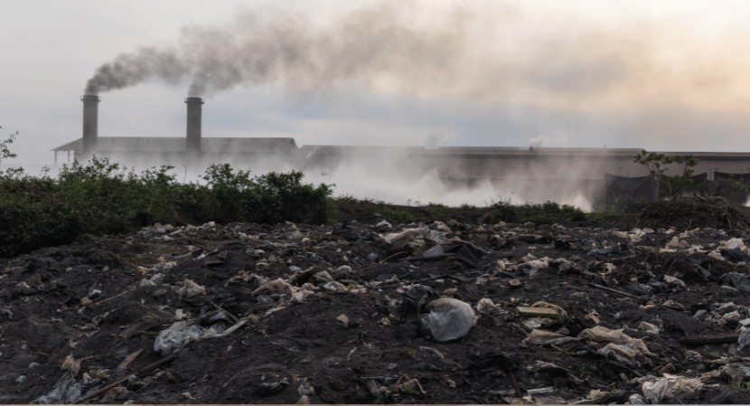 Waste to Energy (Wte) Market
