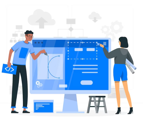 custom web app dev