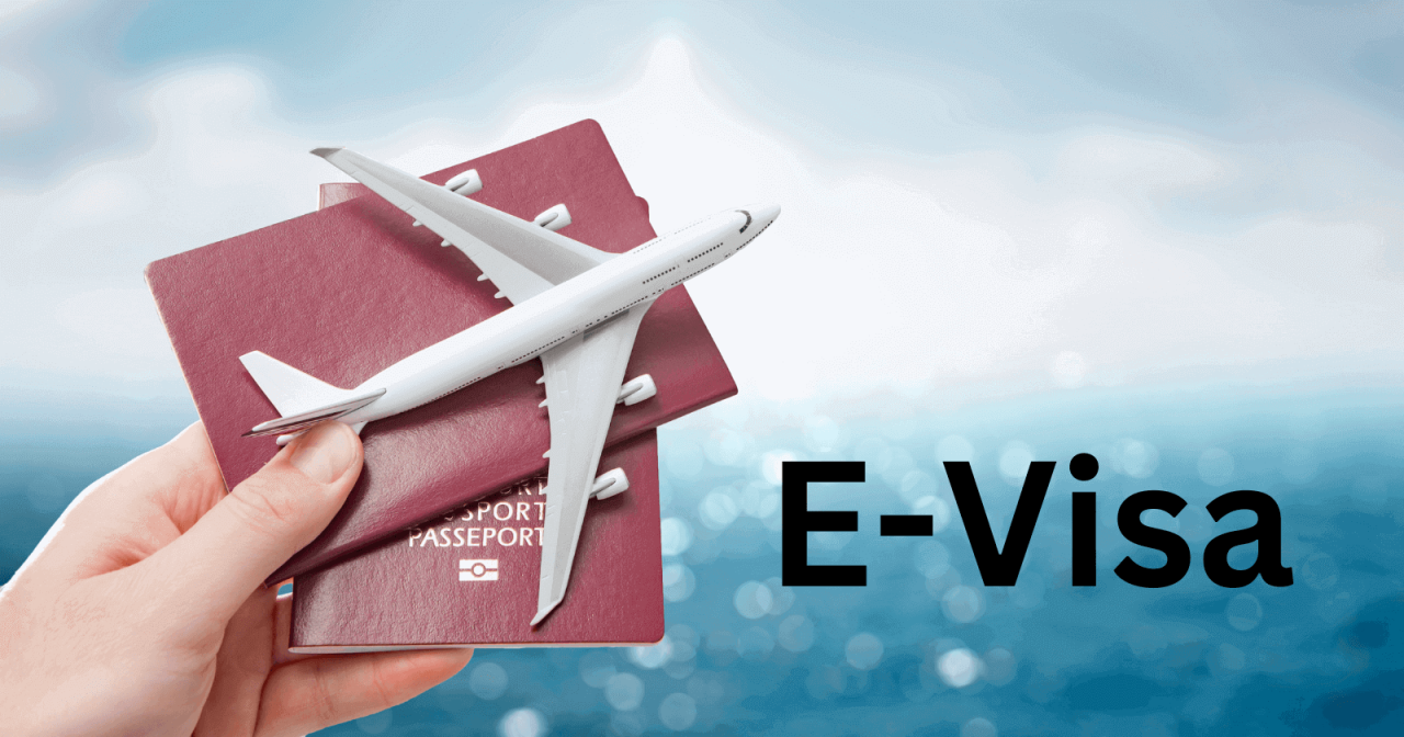 Pakistan visa online