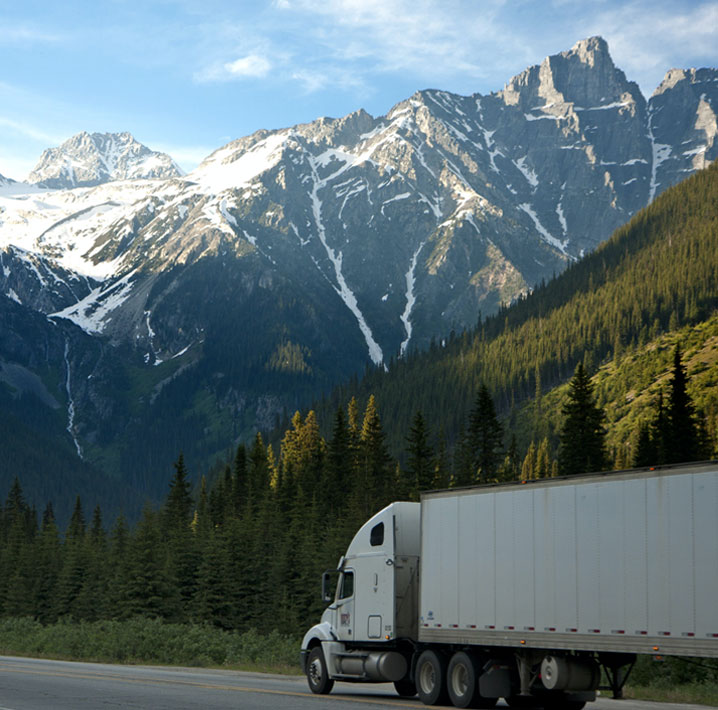 good moving companies near me