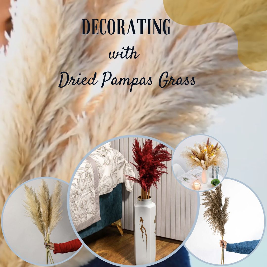 pampas decor