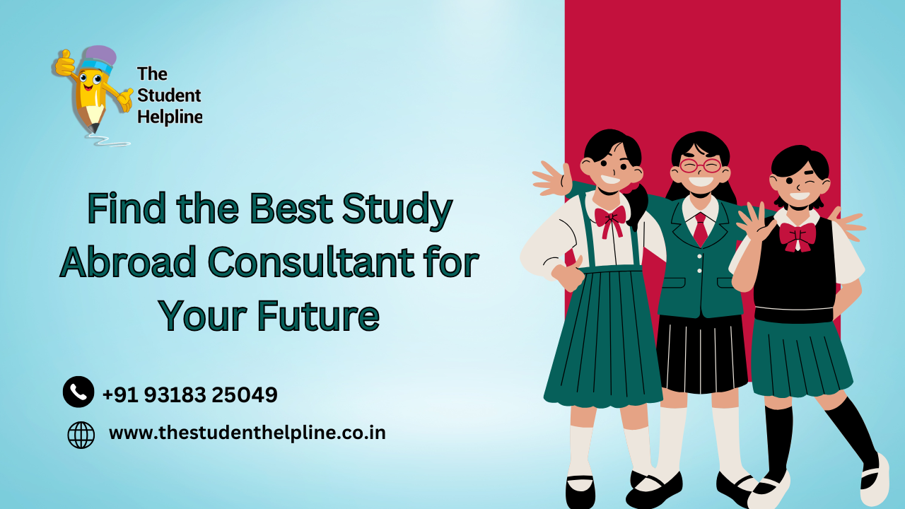 study abroad consultant